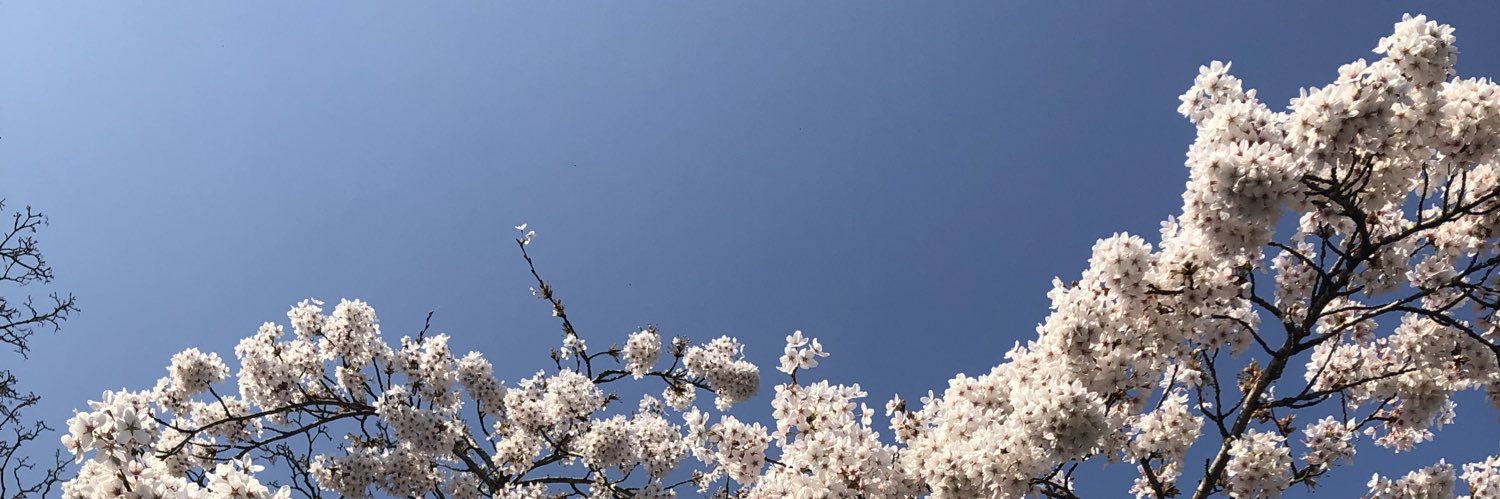 Marissablom_'s profile banner image