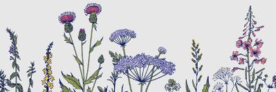 Emilyy_fryy's profile banner image