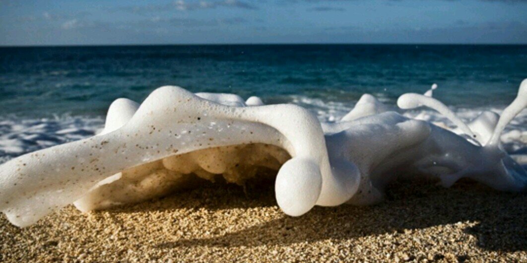 suestnaw's profile banner image