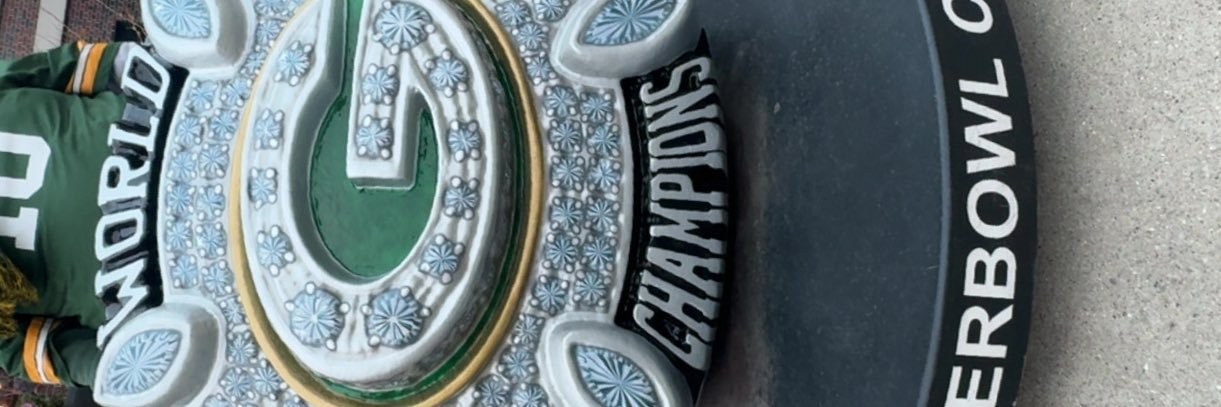 humorus turtle banner