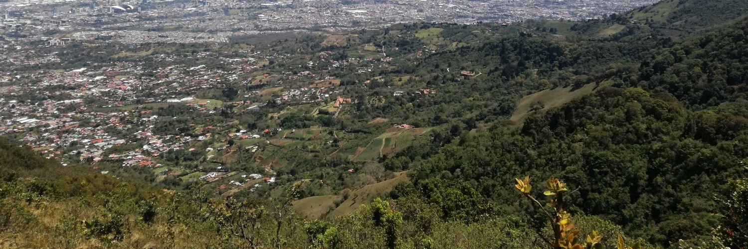 Steven Quesada banner