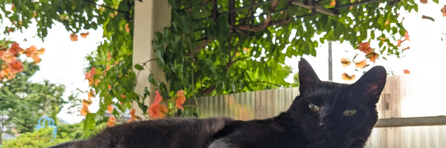 _cyku11's profile banner image