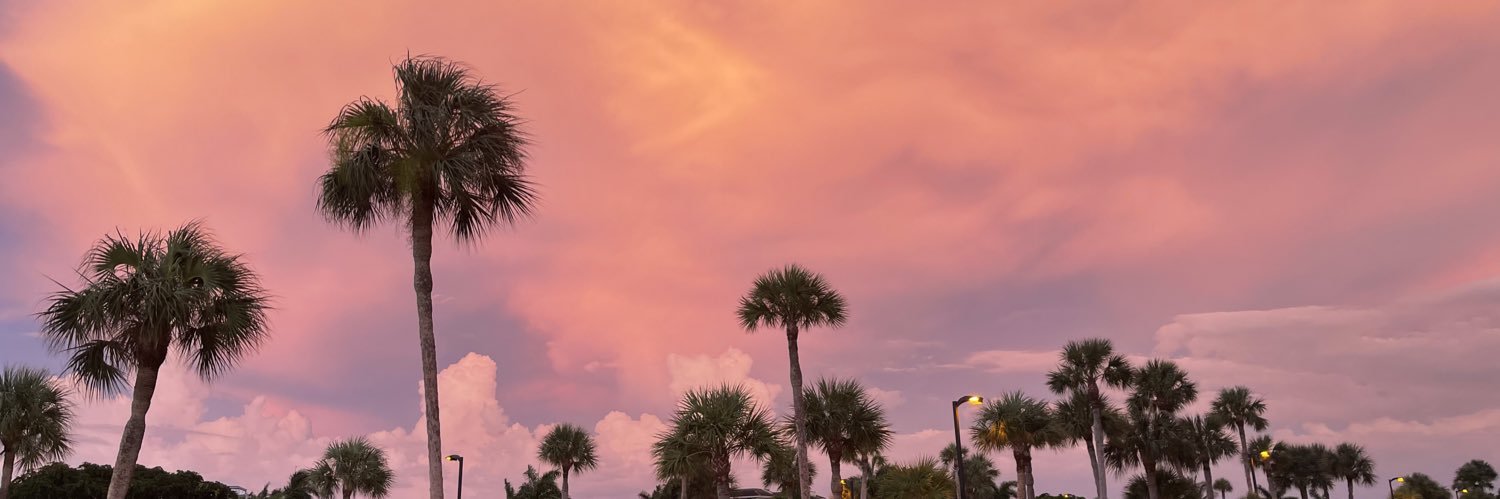 Naleaha16's profile banner image