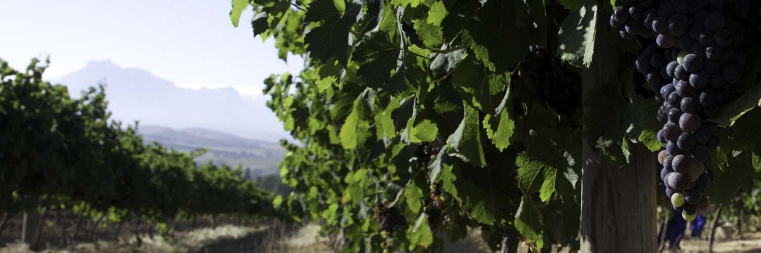 GC Communications banner