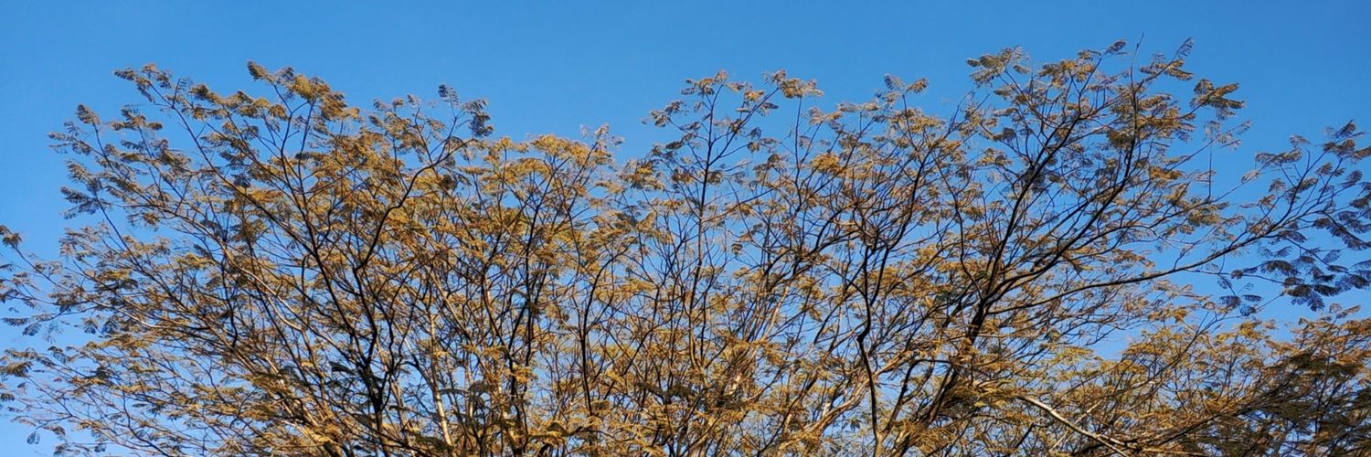 hendrabamaa's profile banner image