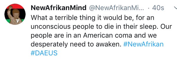 NewAfrikanMind Profile Banner