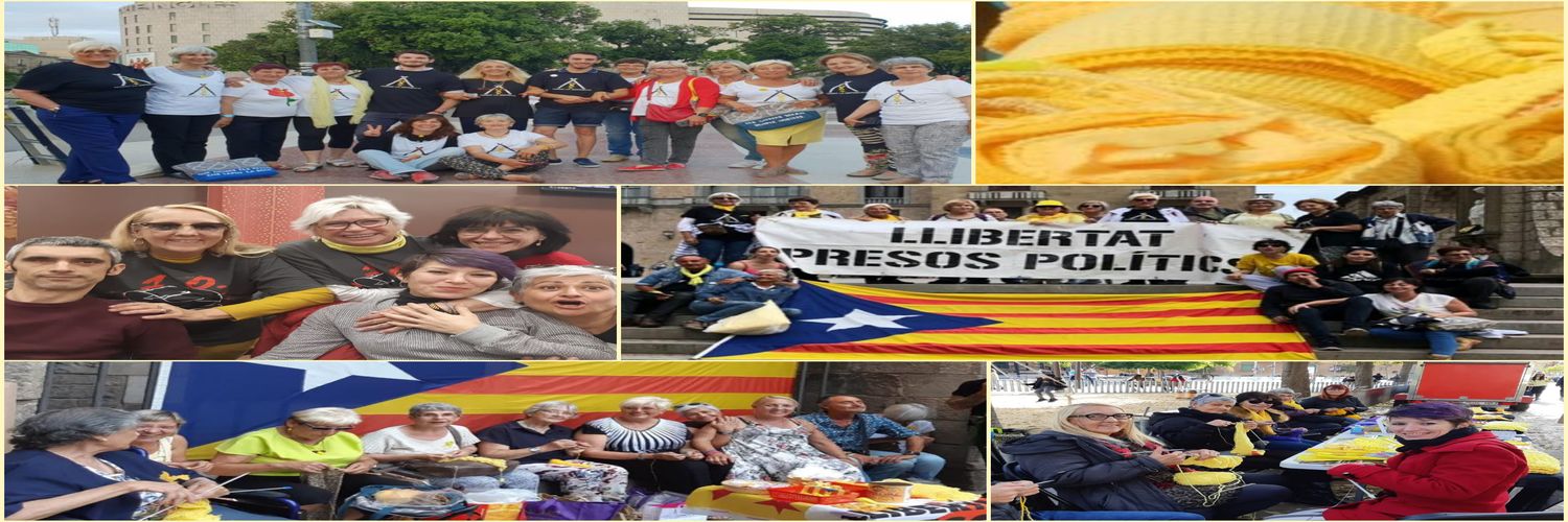 Teixidores per la República, BCN's banner
