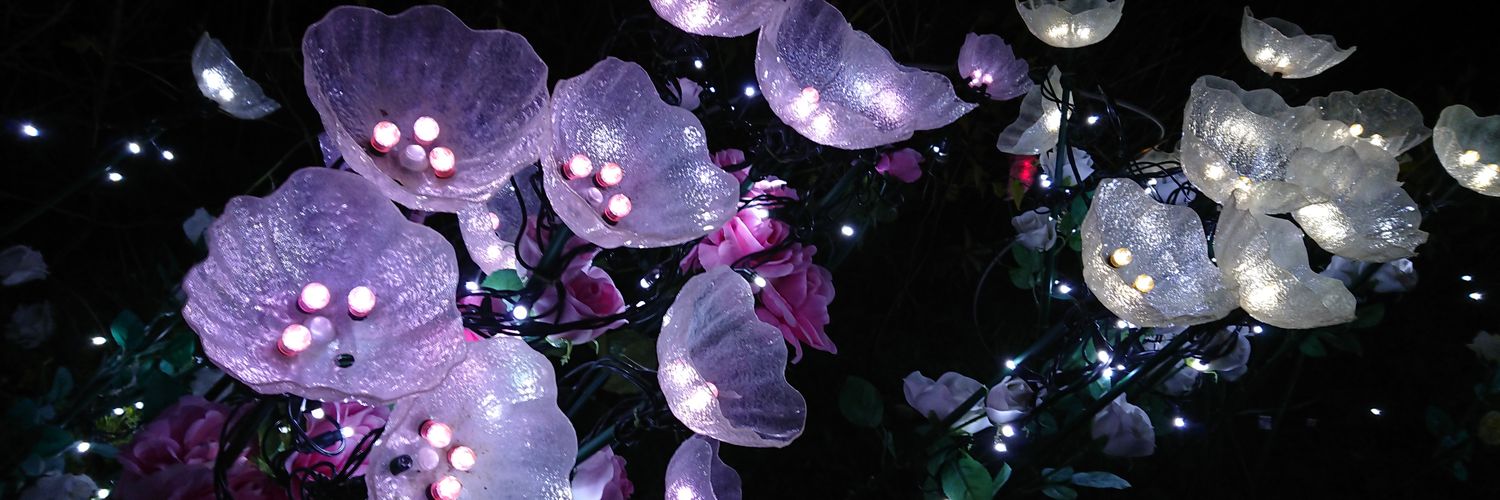 mocchi_flute_'s profile banner image