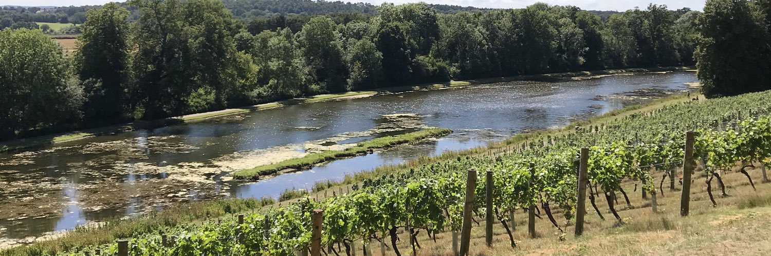 buffbronze's profile banner image