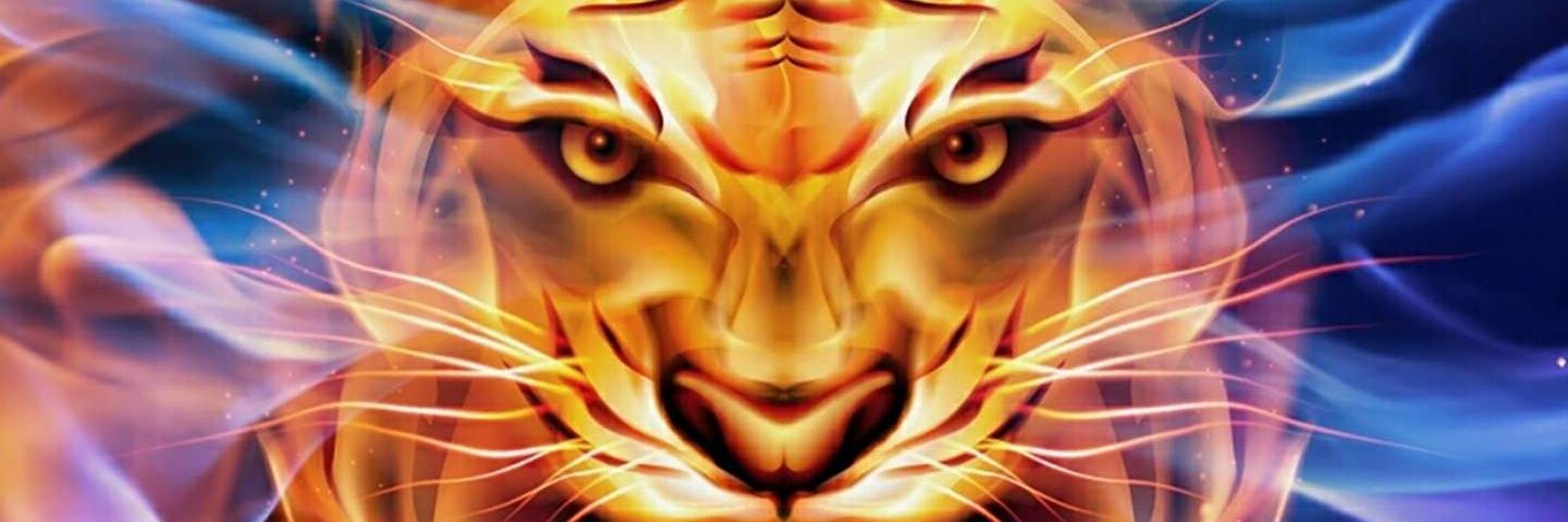 Hatasy's profile banner image