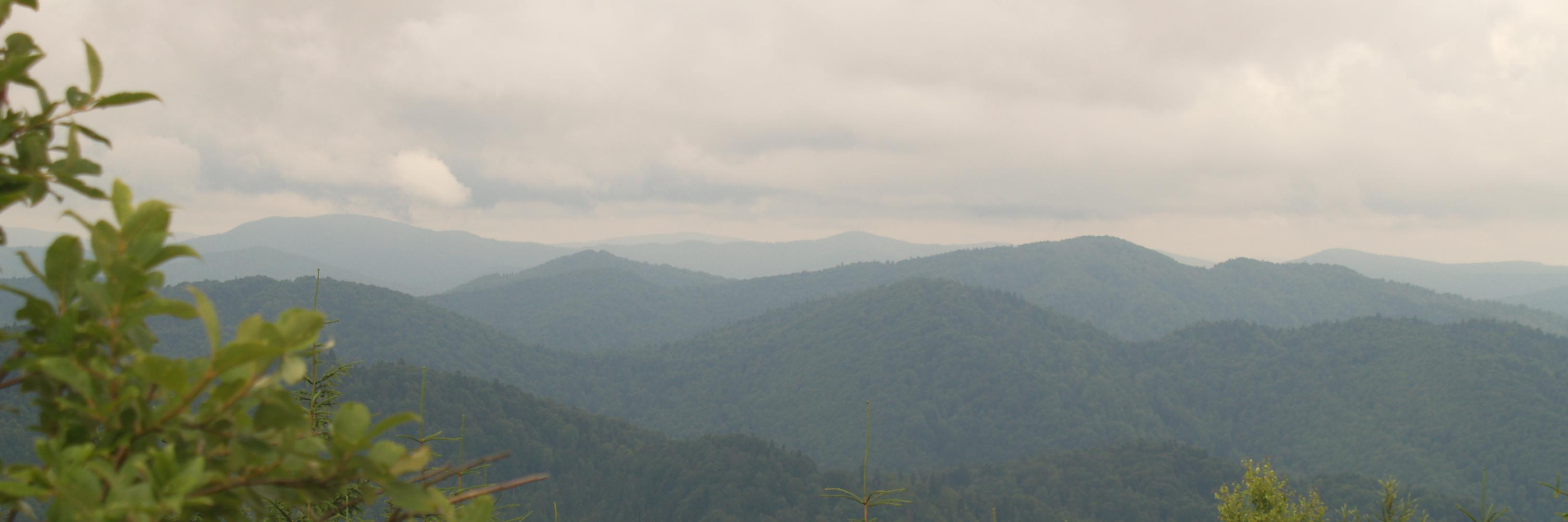 Rupiec's profile banner image