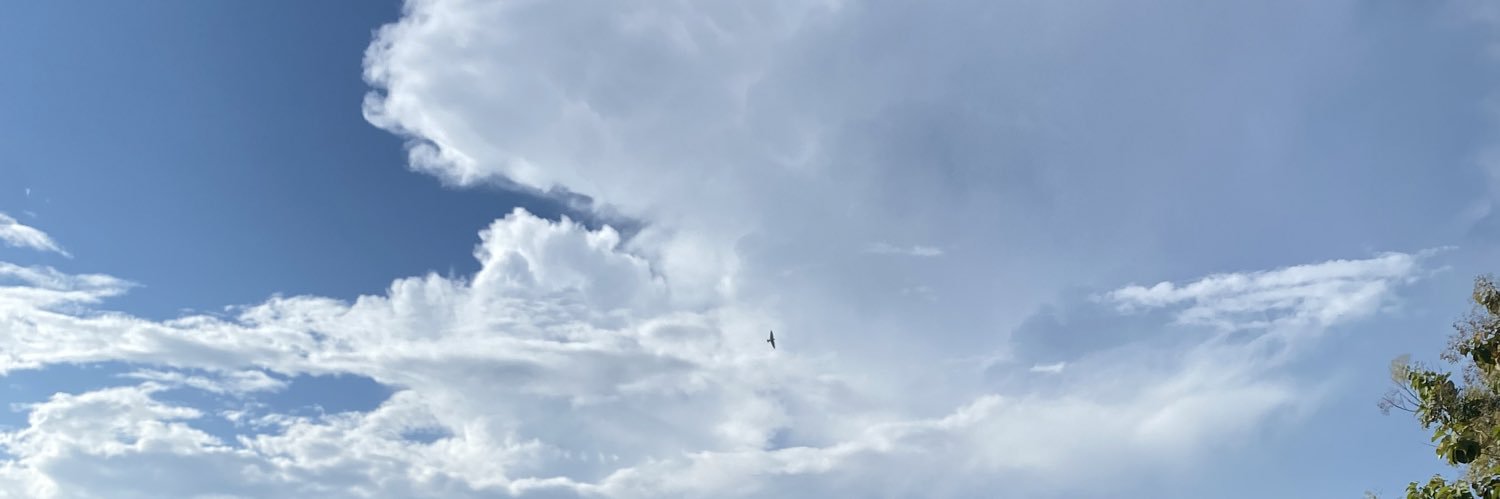 bakul pitik dalu banner