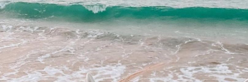 🦢 ‏𝒜𝒯ℛ banner