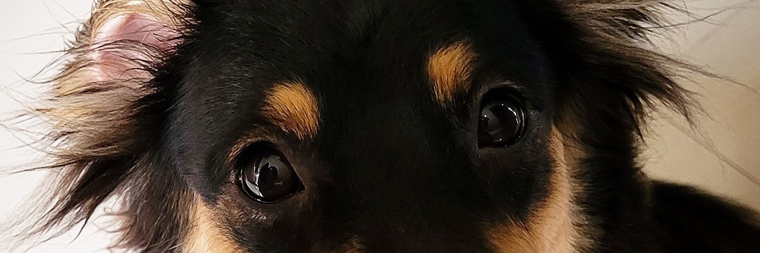 ListyaLin's profile banner image