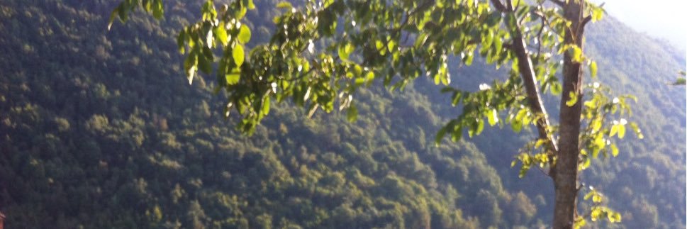 Assurancesbreus's profile banner image
