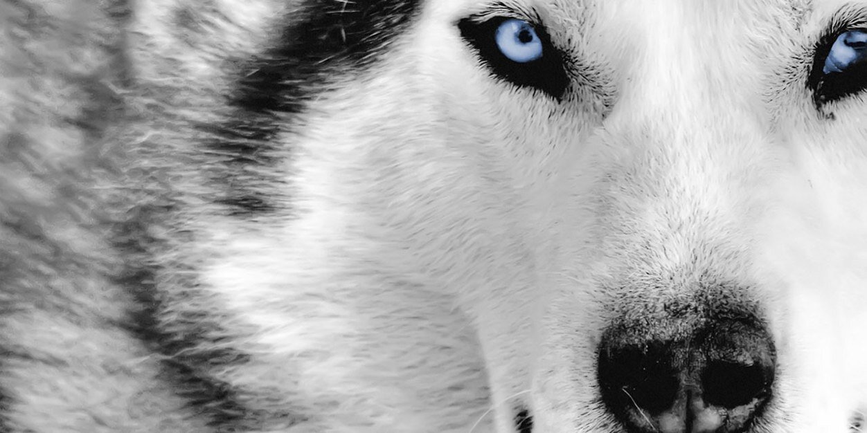 Tyler_Smitty_'s profile banner image
