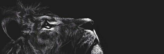 PSYCO123's profile banner image