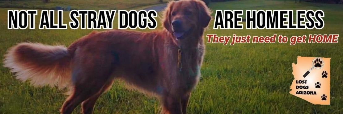 Lost Dogs Arizona banner
