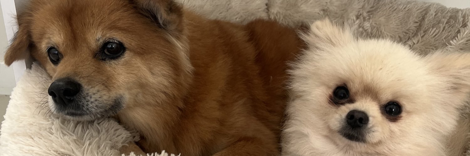 IaraConsul's profile banner image