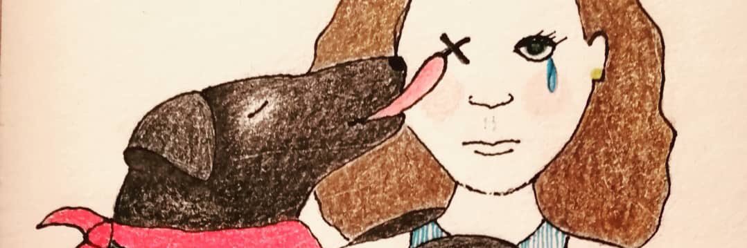 FlordeLotoSur's profile banner image