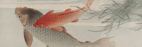 夢応支離滅裂之鯉 banner
