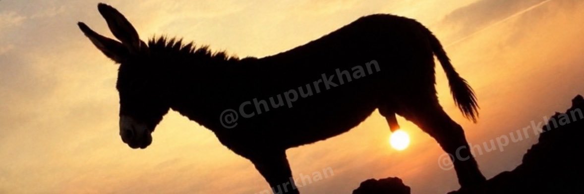 Chupurkhan's profile banner image