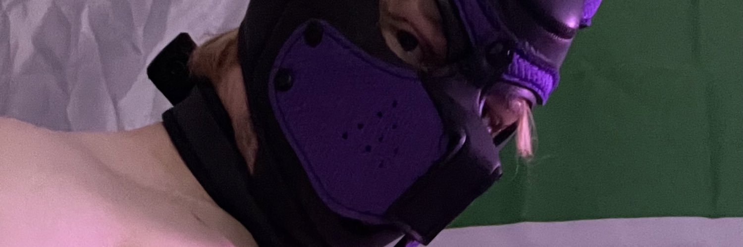 checkersthepup's profile banner image
