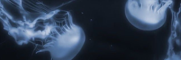 FluffinutterSandwiches🦐|comms open banner