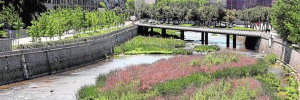 isabanes Profile Banner