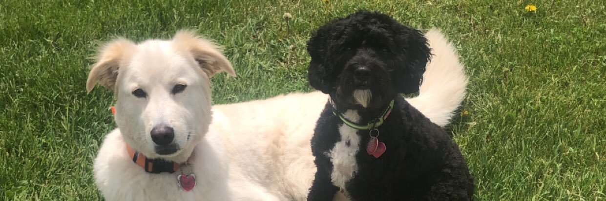 Nicholas Johnson banner