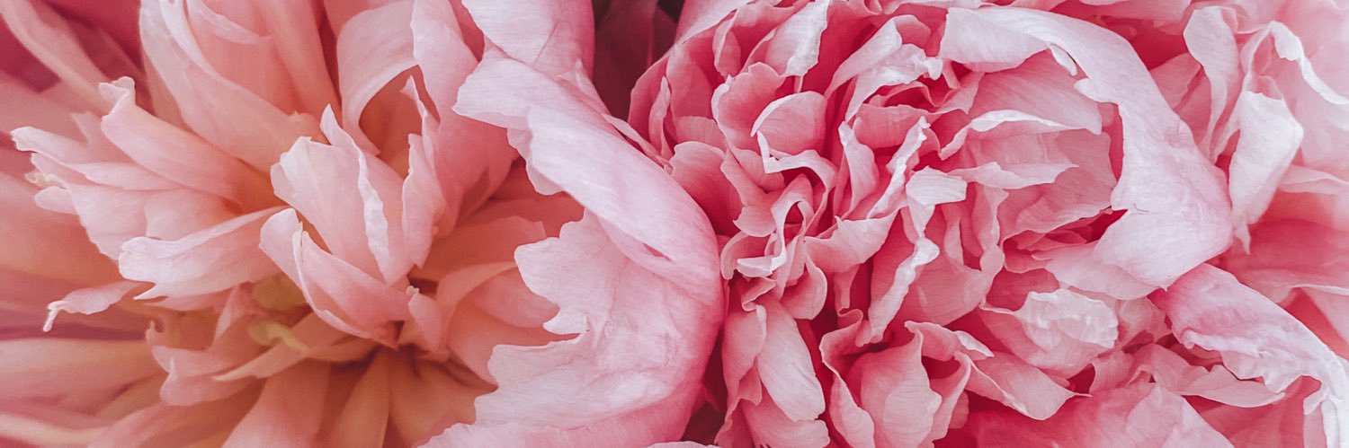 alanaroxanne's profile banner image