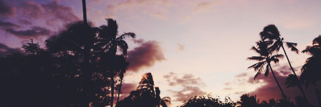 Maxime_dom's profile banner image