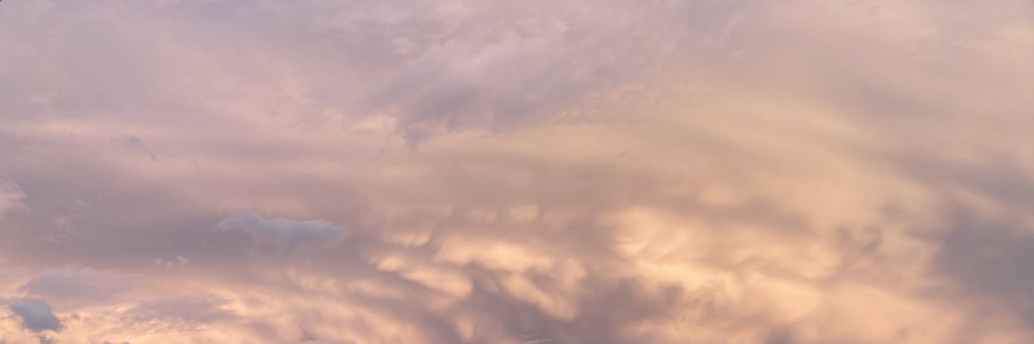 313jiin's profile banner image