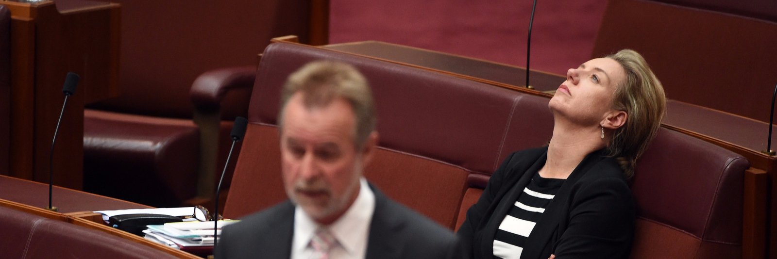 Lauren Budorick banner