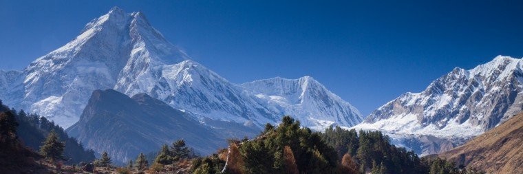 Geraldine Visser banner