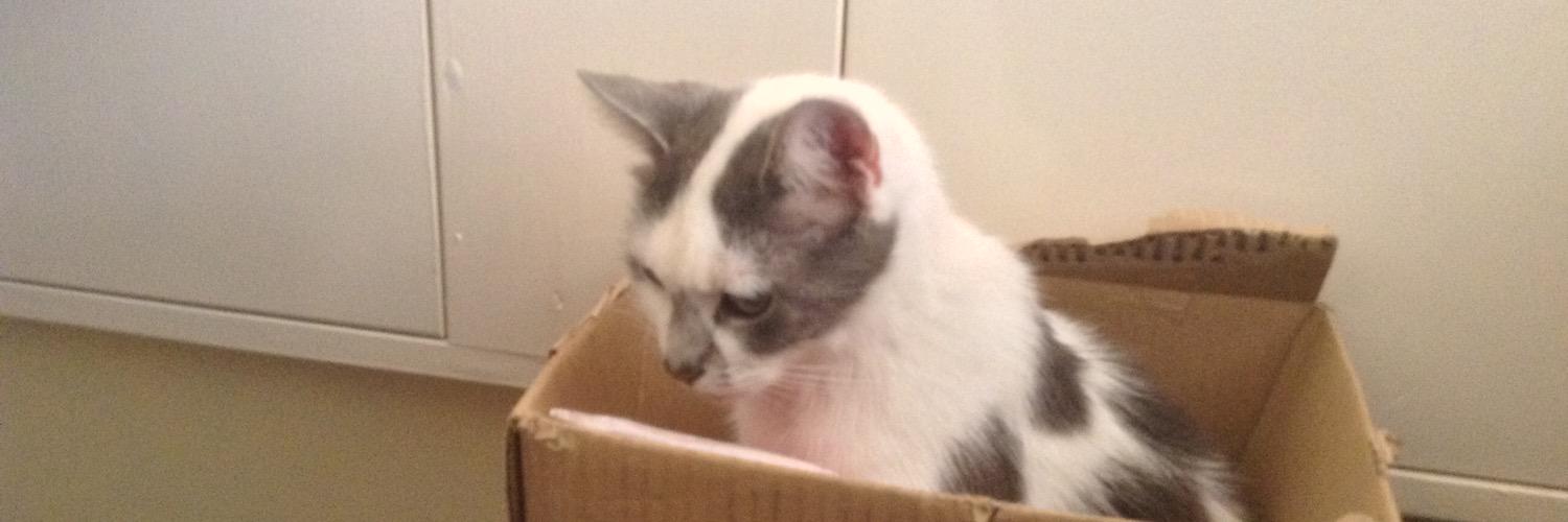 Nick Raybould banner