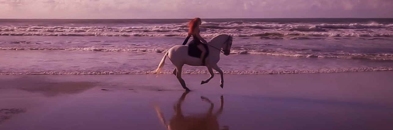 Steph De Rosa banner