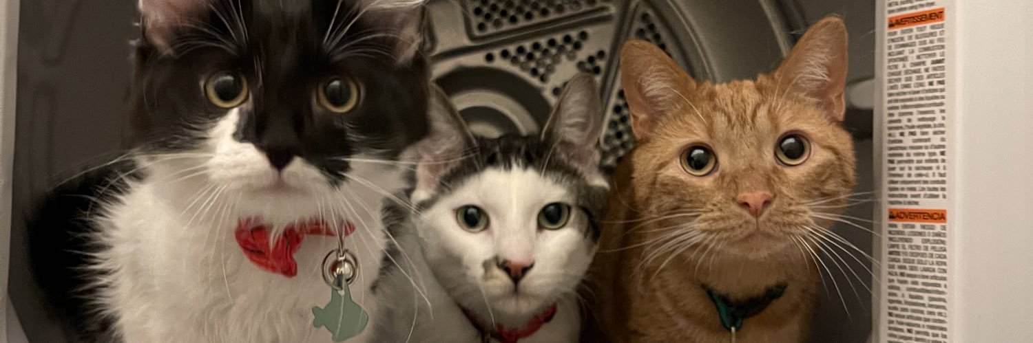meg 🖤 banner