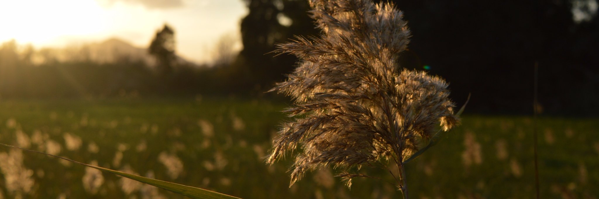 ·Ðayman 🌞 banner