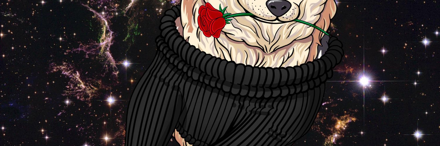 oğuzhan güldemir banner