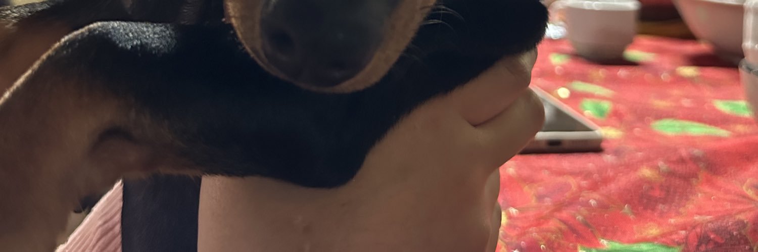 LuizMacz's profile banner image