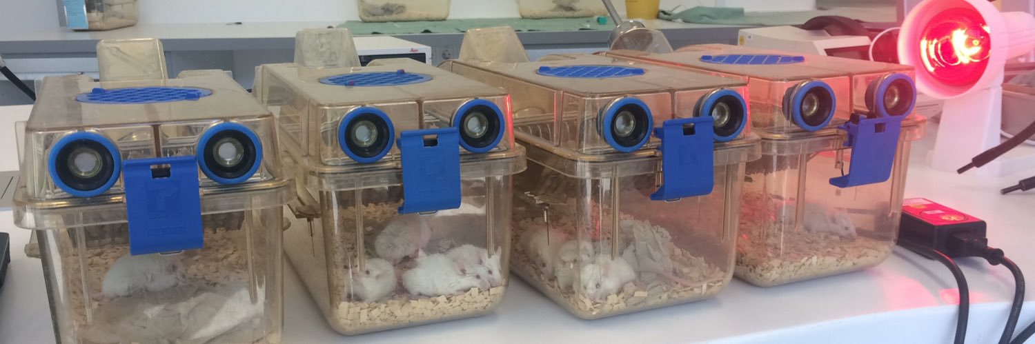 chariskalogirou banner