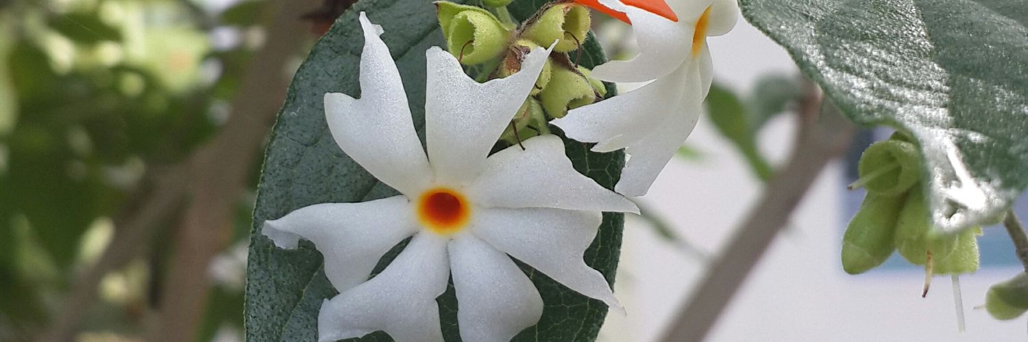 aparna0504's profile banner image