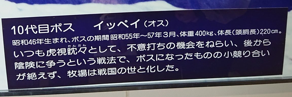 ipperion's profile banner image