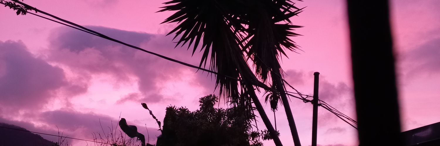 𝑺𝒏𝒐𝒘𝒇𝒂𝒍𝒍 ❄️🇨🇷 banner