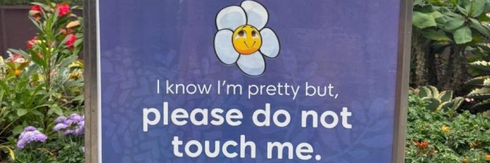 ✨Pretty Feet Perfect Toes✨ banner