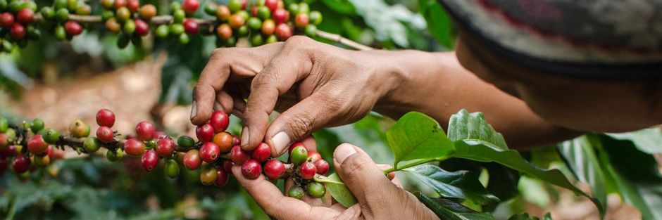 كِفّة | kiffa banner