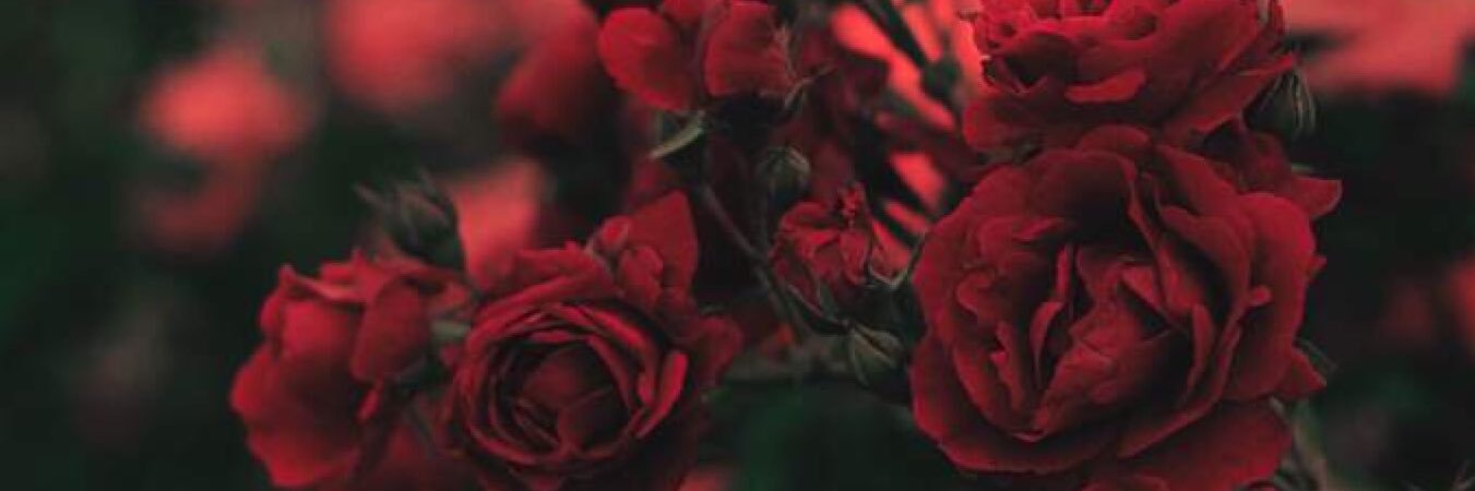 art_bells's profile banner image