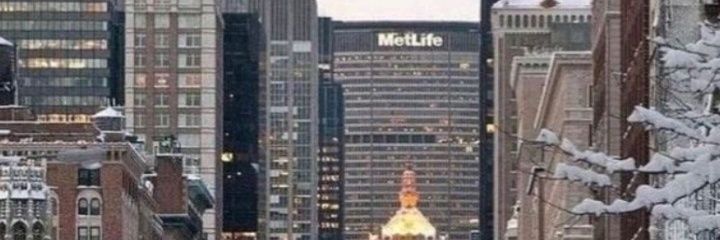 maypfdlopes8_'s profile banner image
