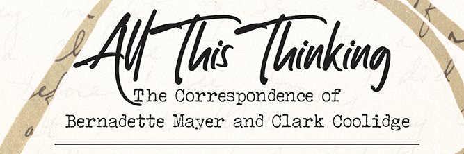 Stephanie Anderson banner